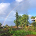 Seltener Regenbogen am Ferienhaus